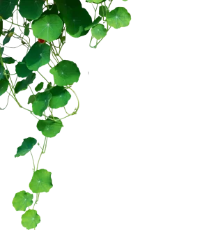 AdobeStock_565236990