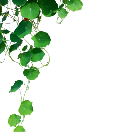 AdobeStock_565236990