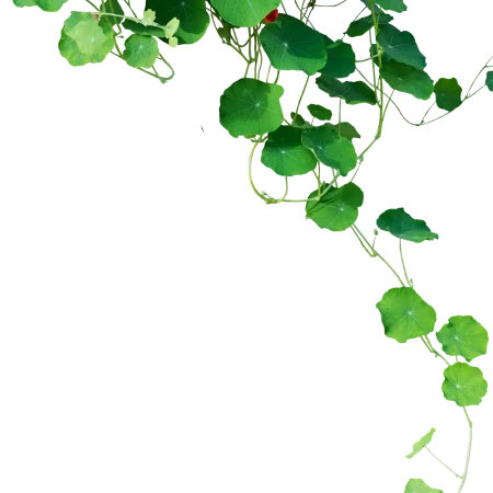 AdobeStock_565237475B